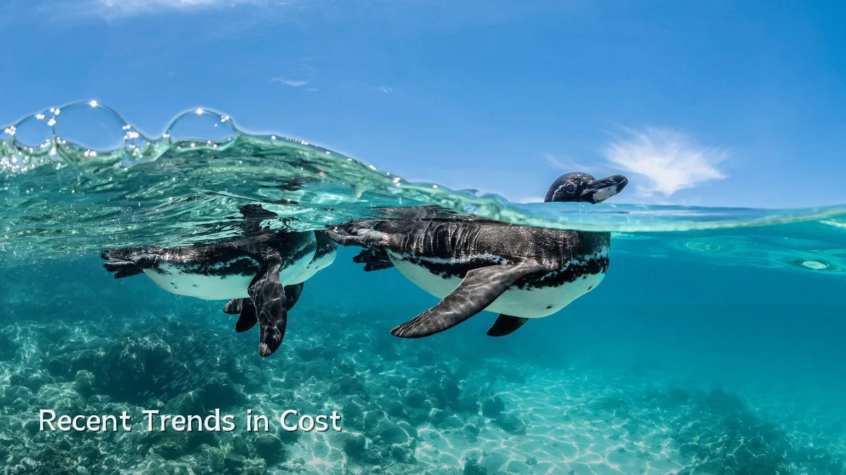 Recent Trends in Cost