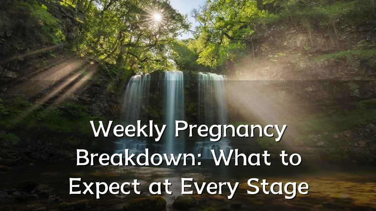 Weekly Pregnancy Breakdown: What to Expect at Every Stage