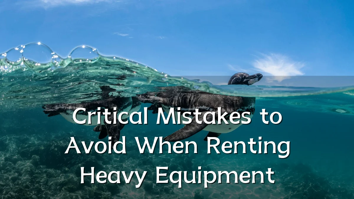 Critical Mistakes to Avoid When Renting Heavy Equipment