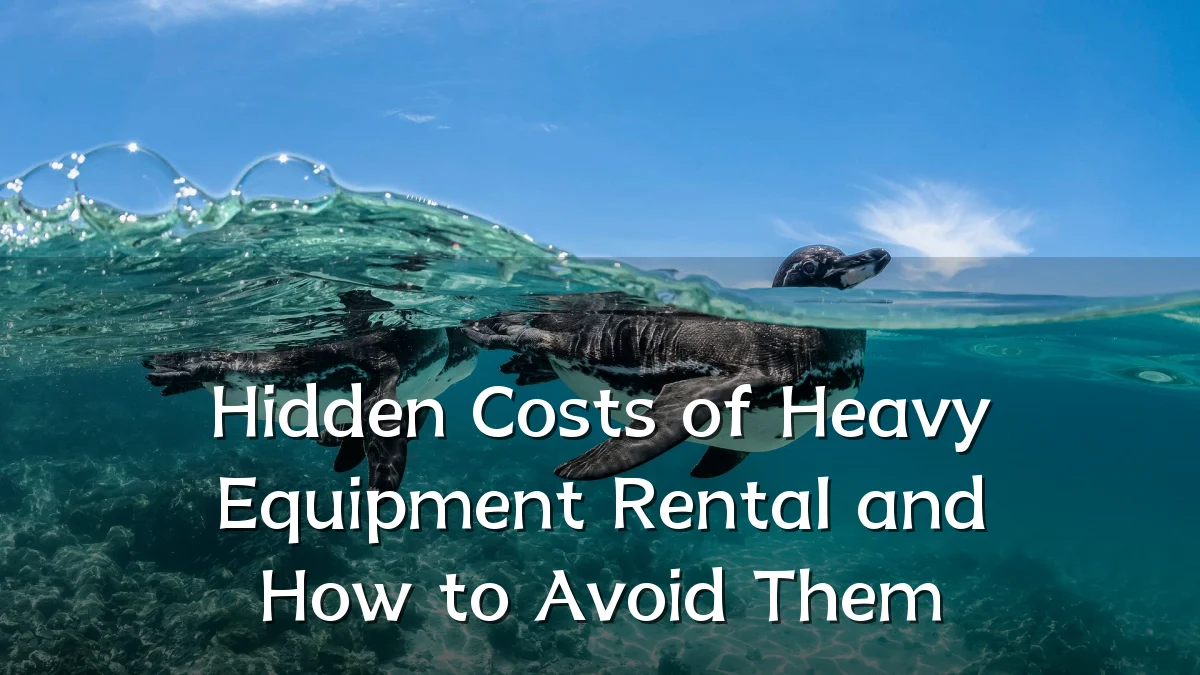 Hidden Costs of Heavy Equipment Rental and How to Avoid Them