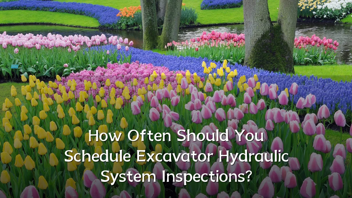 How Often Should You Schedule Excavator Hydraulic System Inspections?