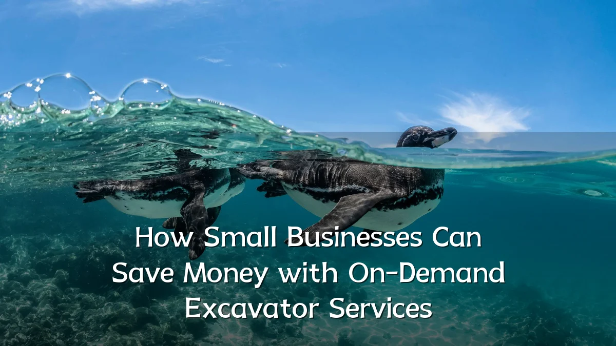 How Small Businesses Can Save Money with On-Demand Excavator Services