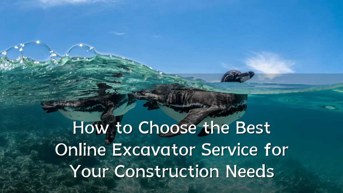How to Choose the Best Online Excavator Service for Your Construction Needs