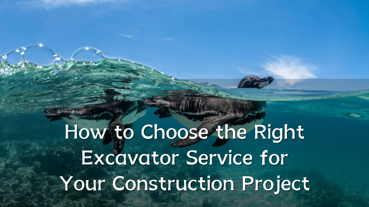 How to Choose the Right Excavator Service for Your Construction Project