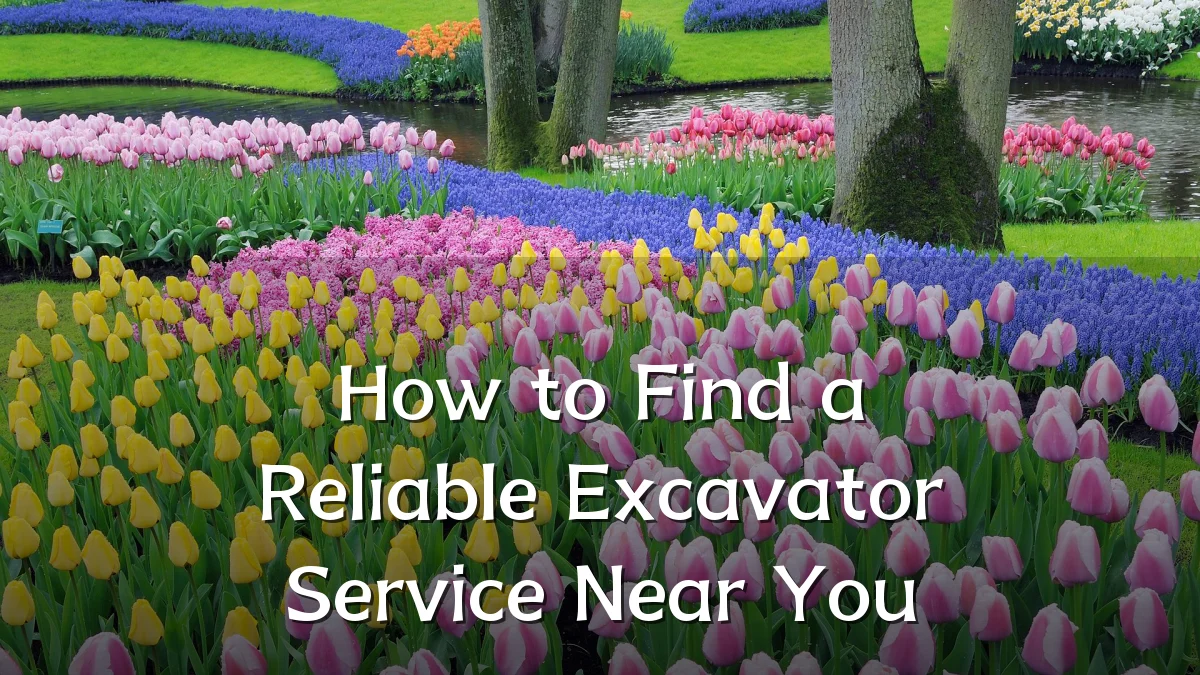 How to Find a Reliable Excavator Service Near You