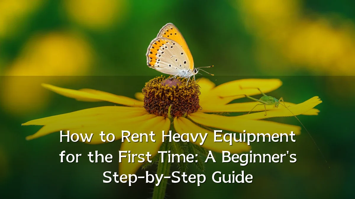 How to Rent Heavy Equipment for the First Time: A Beginner's Step-by-Step Guide