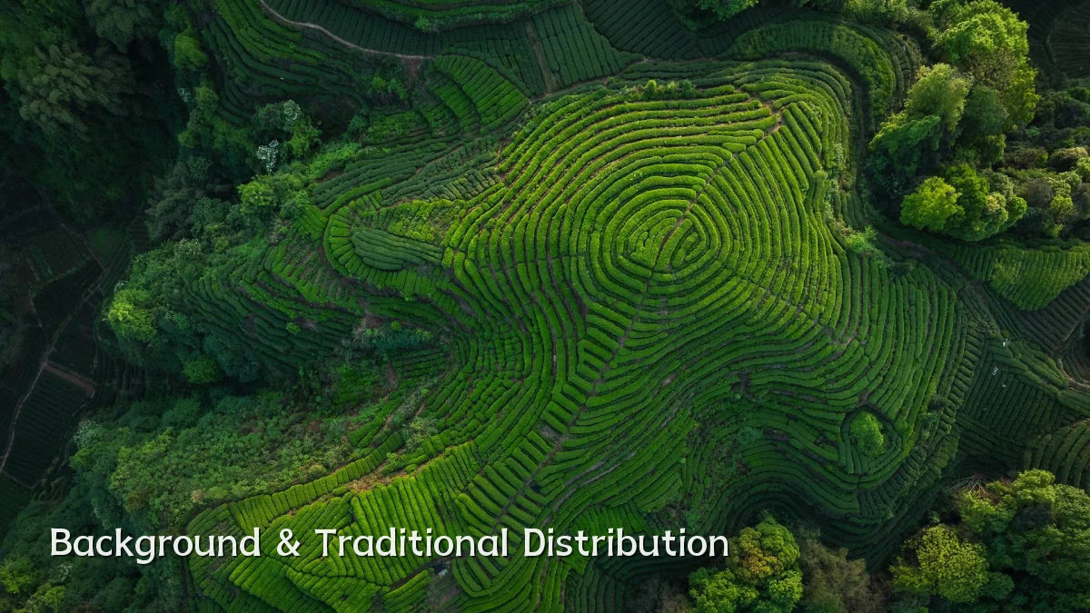 Background & Traditional Distribution
