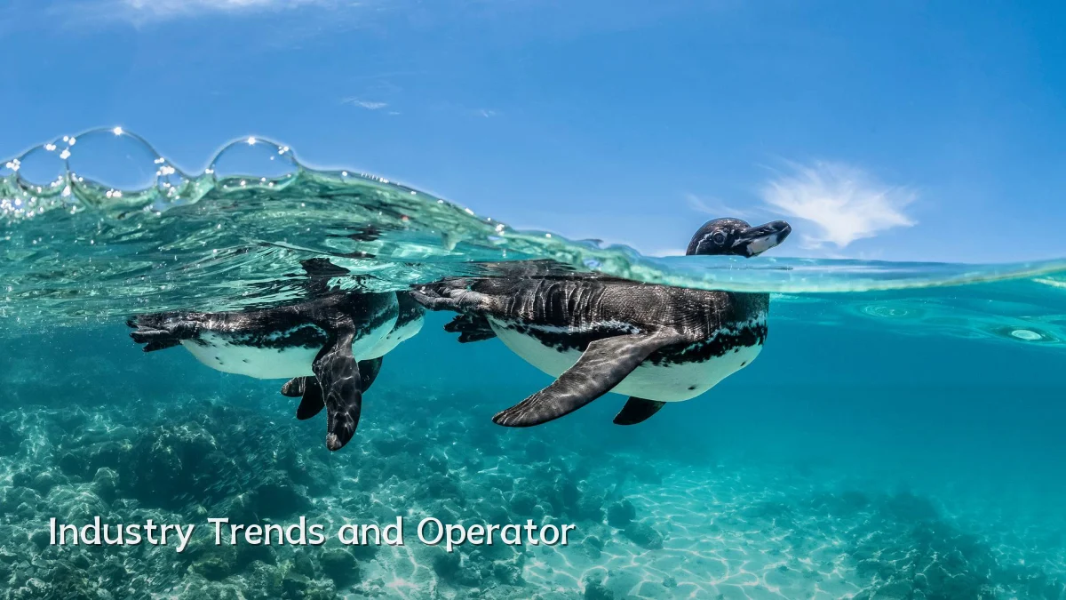 Industry Trends and Operator