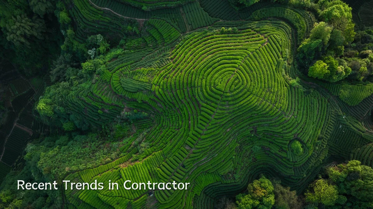 Recent Trends in Contractor