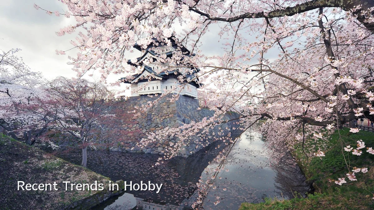 Recent Trends in Hobby