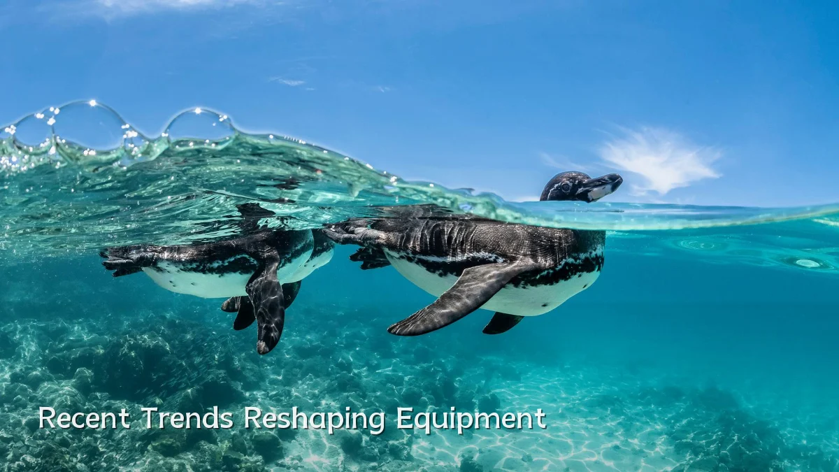 Recent Trends Reshaping Equipment