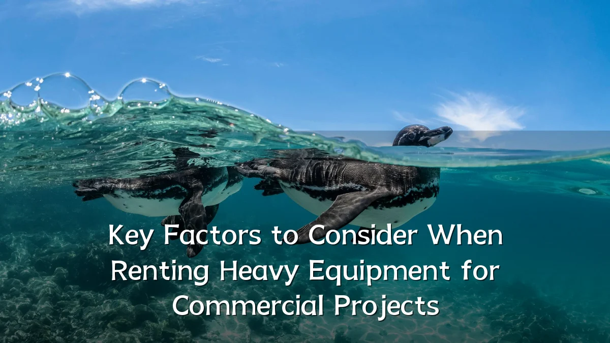 Key Factors to Consider When Renting Heavy Equipment for Commercial Projects