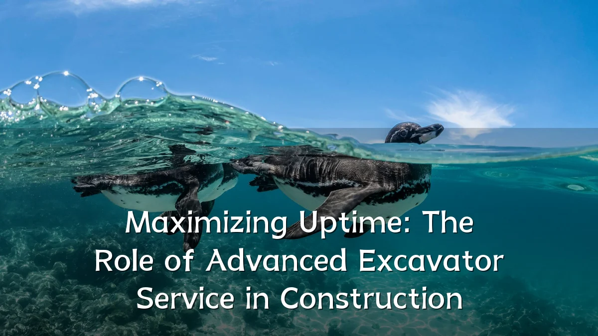 Maximizing Uptime: The Role of Advanced Excavator Service in Construction