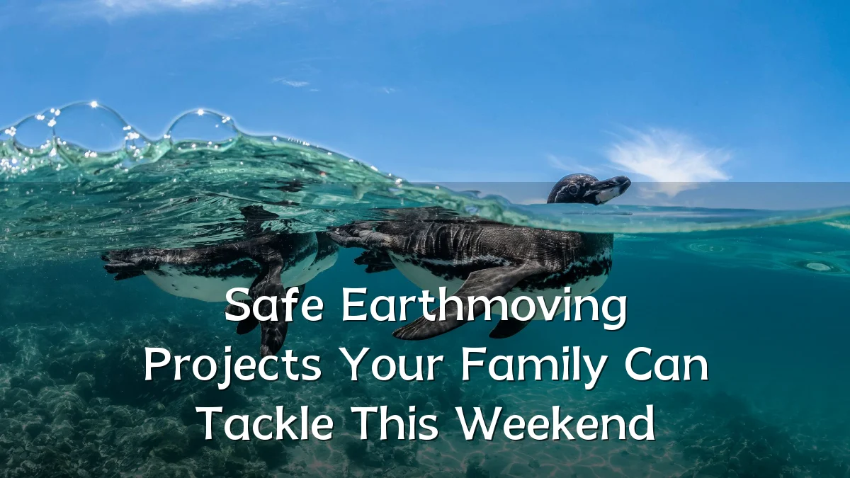 Safe Earthmoving Projects Your Family Can Tackle This Weekend