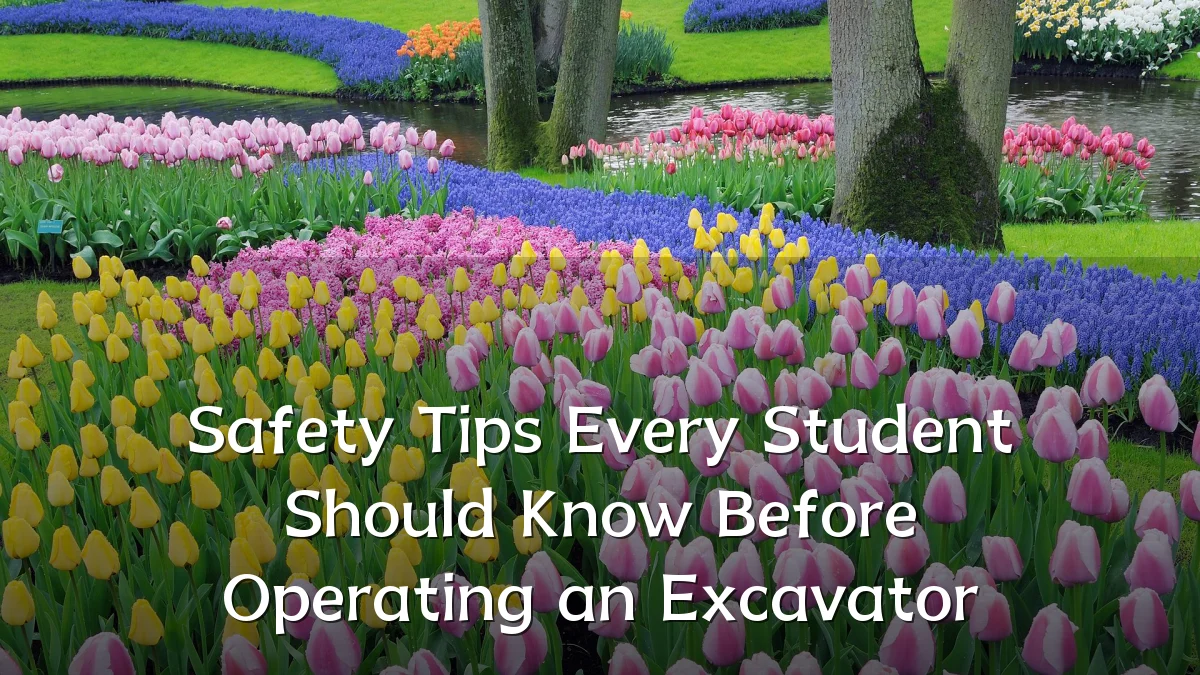Safety Tips Every Student Should Know Before Operating an Excavator