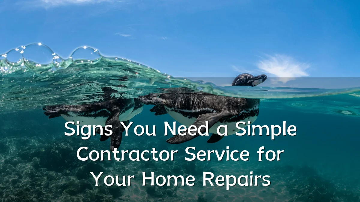 Signs You Need a Simple Contractor Service for Your Home Repairs
