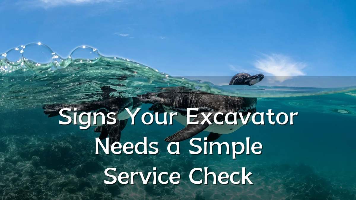 Signs Your Excavator Needs a Simple Service Check