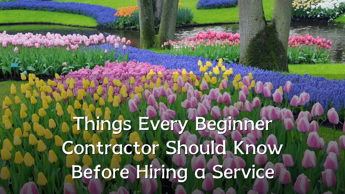 Things Every Beginner Contractor Should Know Before Hiring a Service