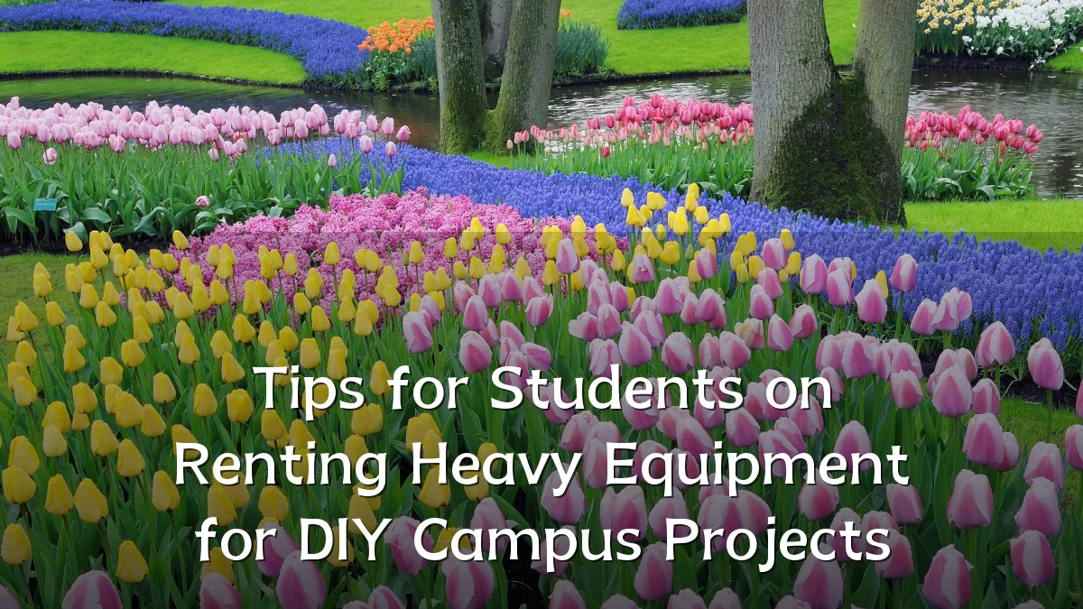 Tips for Students on Renting Heavy Equipment for DIY Campus Projects