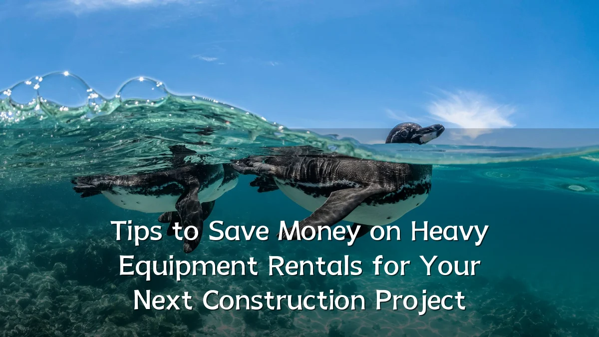 Tips to Save Money on Heavy Equipment Rentals for Your Next Construction Project