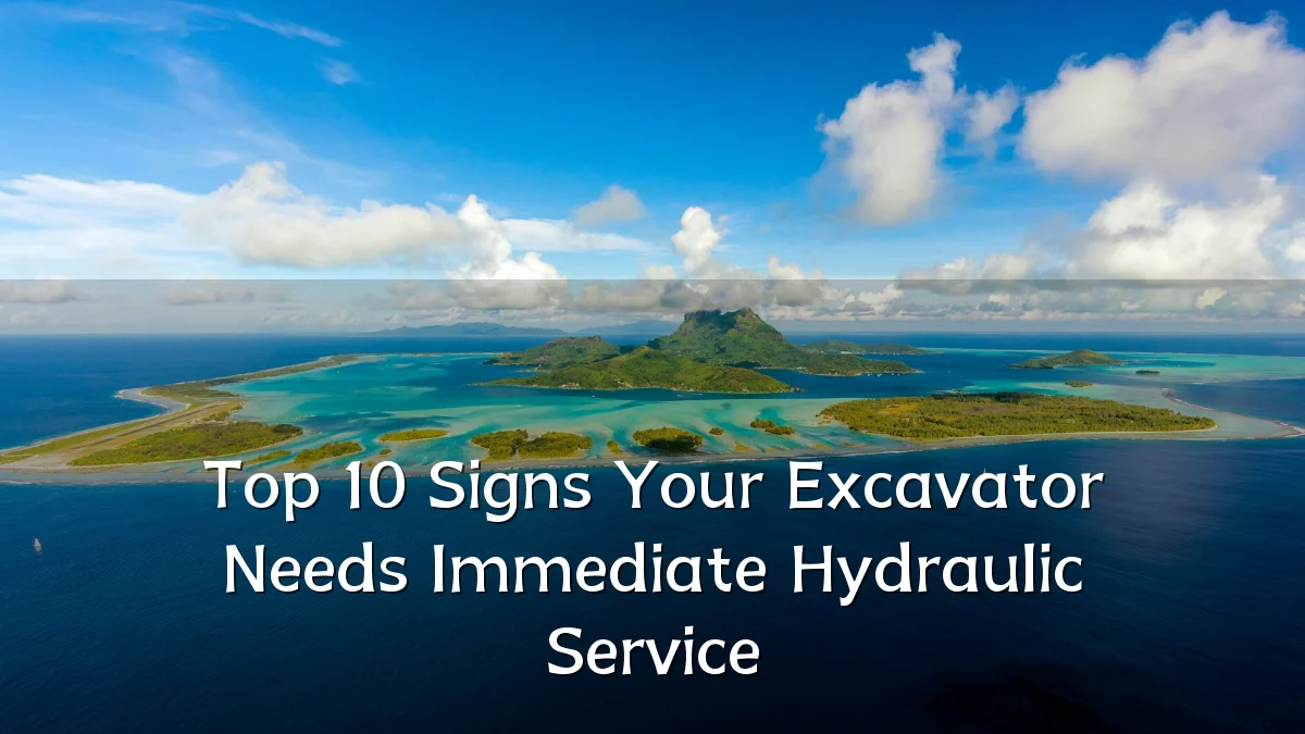 Top 10 Signs Your Excavator Needs Immediate Hydraulic Service