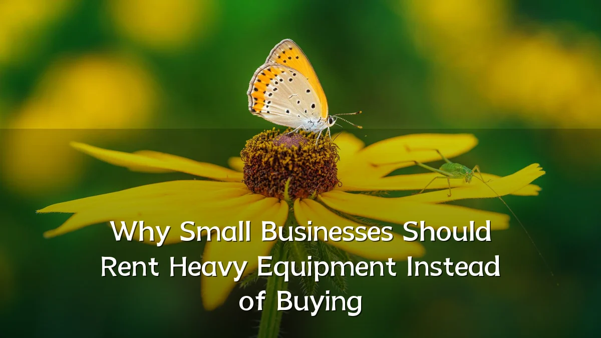 Why Small Businesses Should Rent Heavy Equipment Instead of Buying