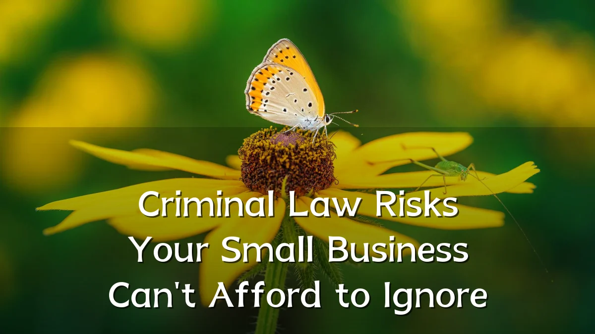Criminal Law Risks Your Small Business Can't Afford to Ignore
