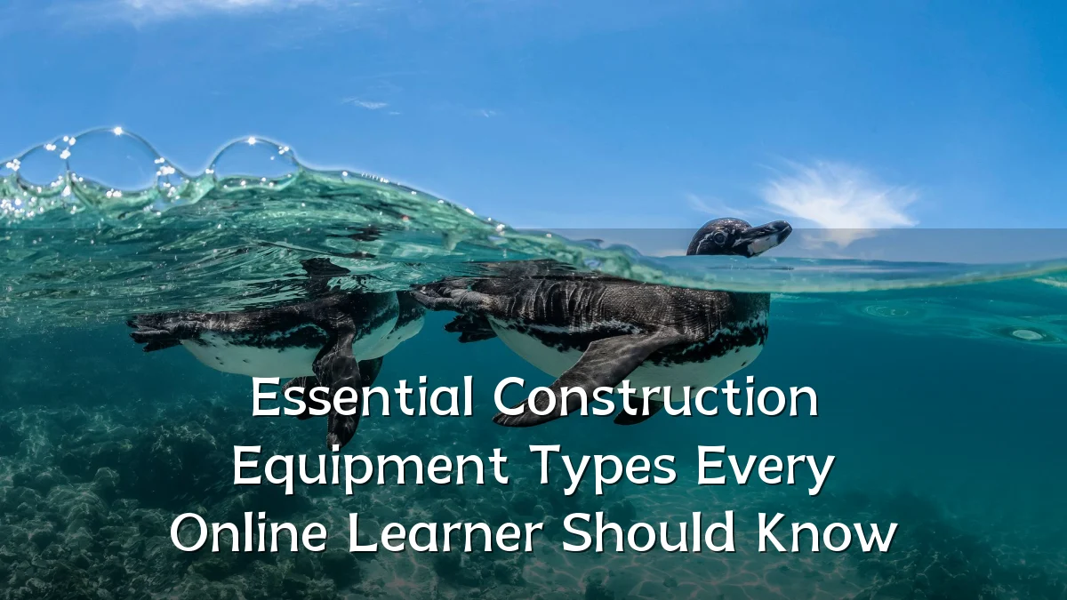 Essential Construction Equipment Types Every Online Learner Should Know