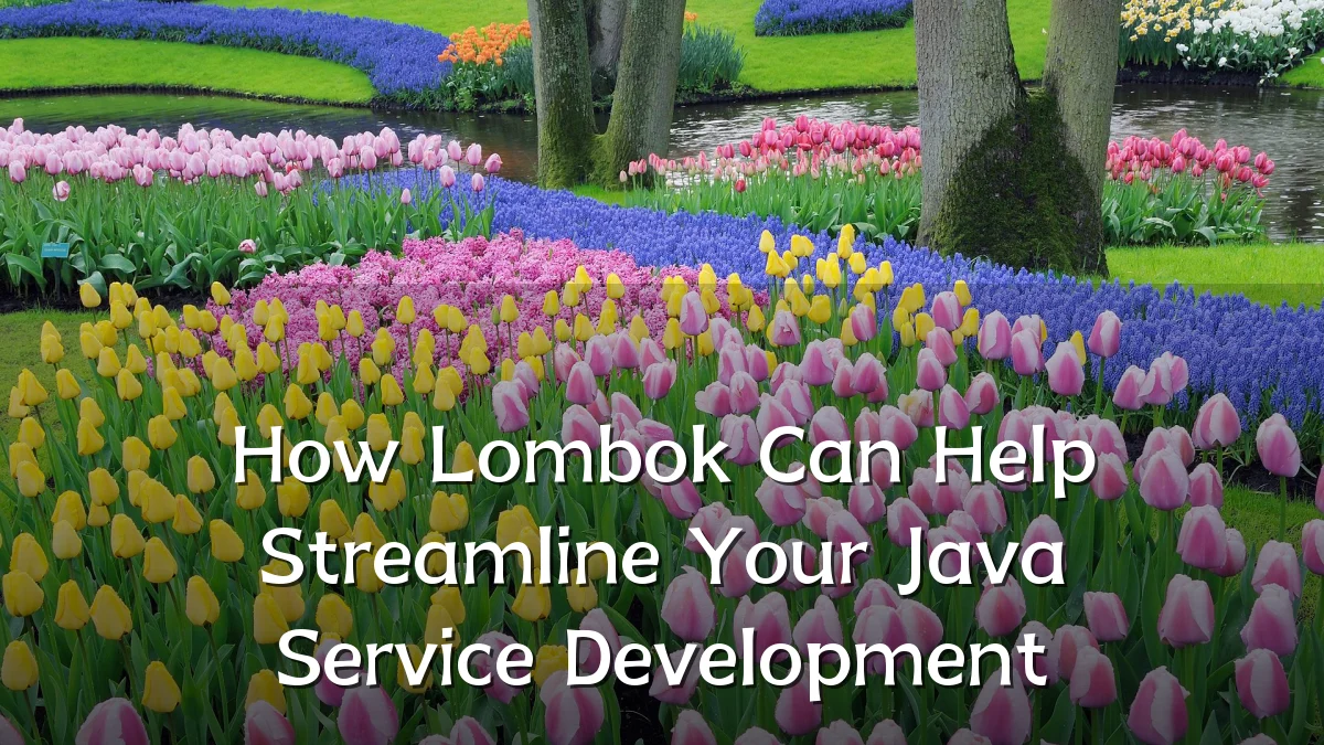 How Lombok Can Help Streamline Your Java Service Development