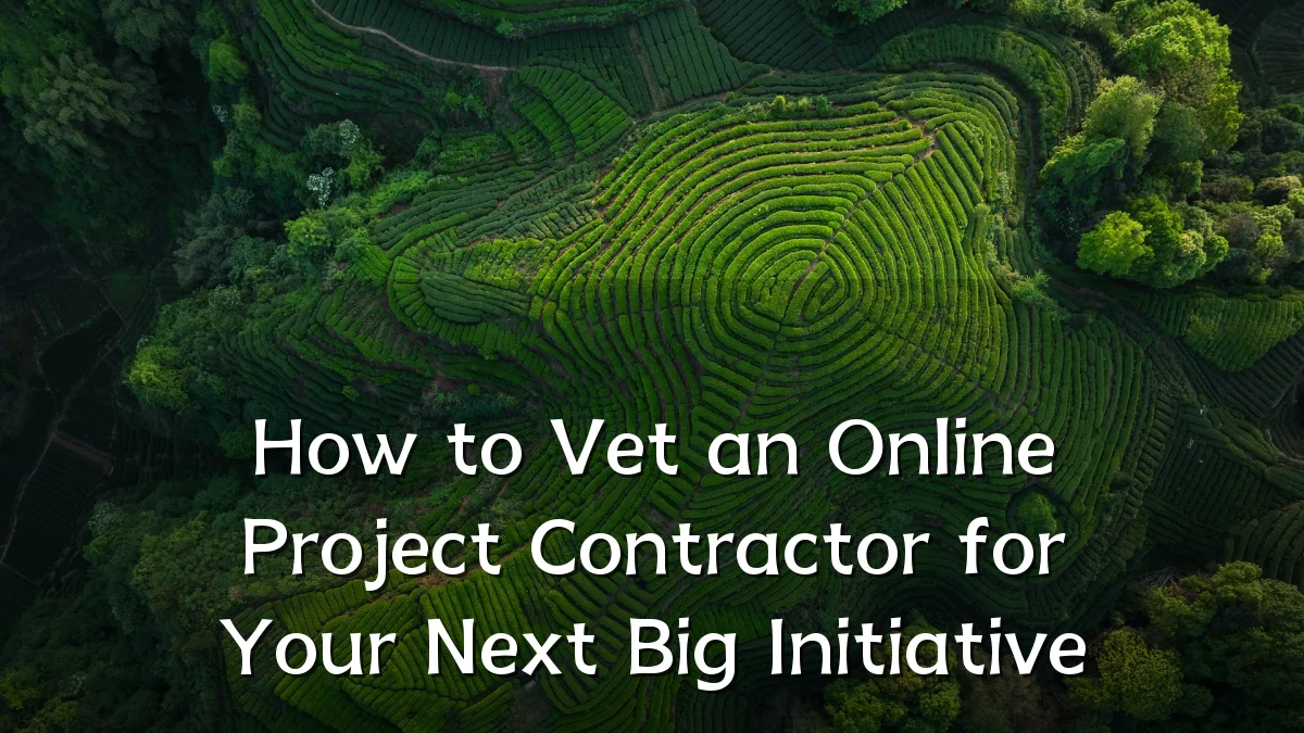 How to Vet an Online Project Contractor for Your Next Big Initiative