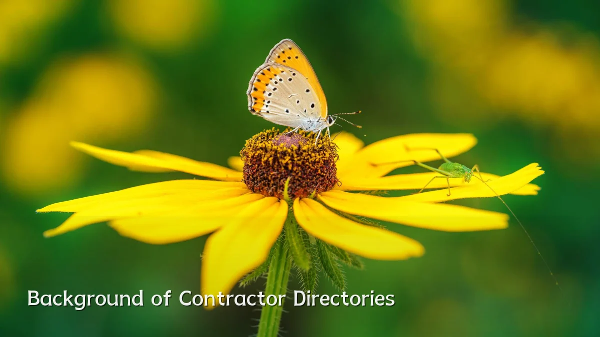 Background of Contractor Directories