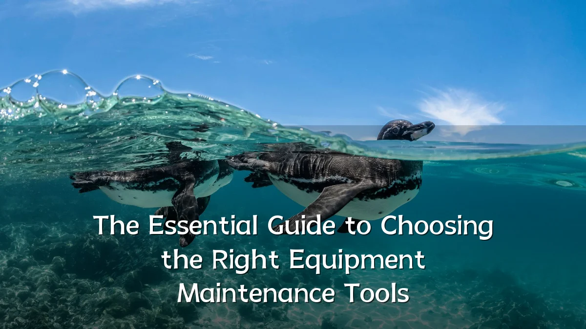 The Essential Guide to Choosing the Right Equipment Maintenance Tools
