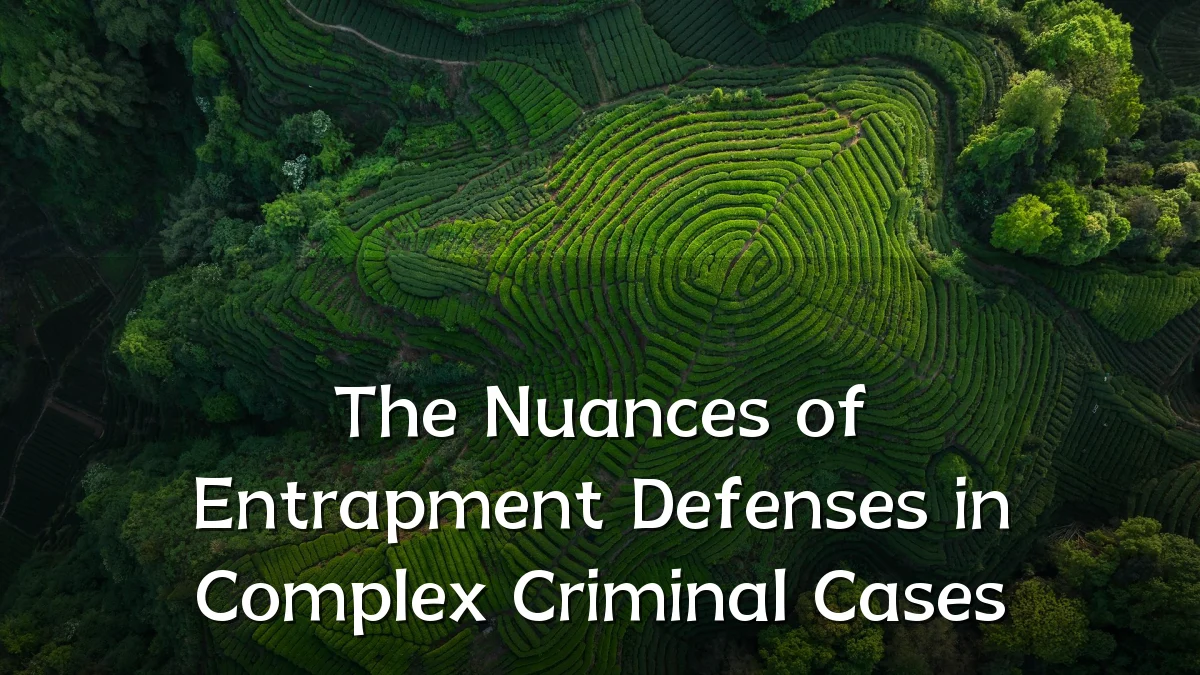 The Nuances of Entrapment Defenses in Complex Criminal Cases