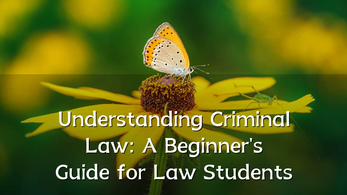 Understanding Criminal Law: A Beginner's Guide for Law Students