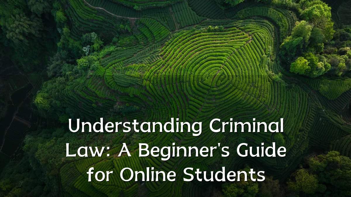 Understanding Criminal Law: A Beginner's Guide for Online Students