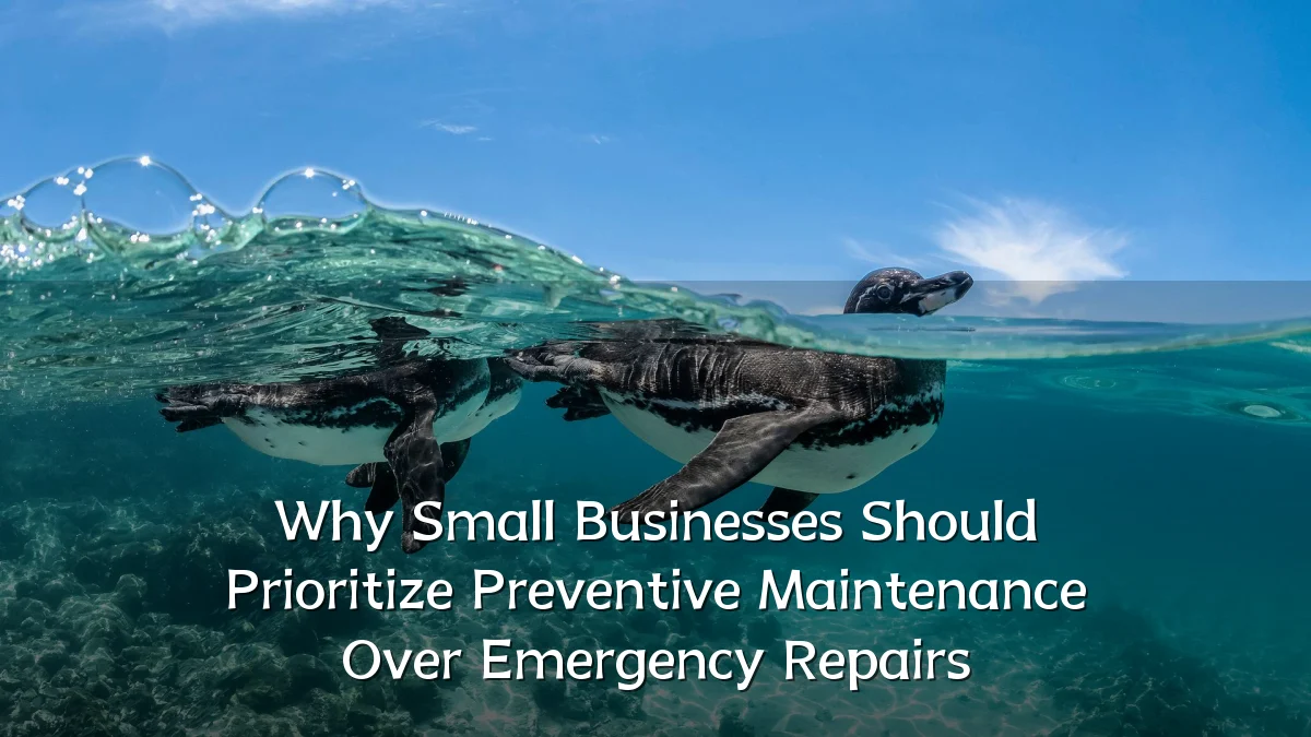 Why Small Businesses Should Prioritize Preventive Maintenance Over Emergency Repairs